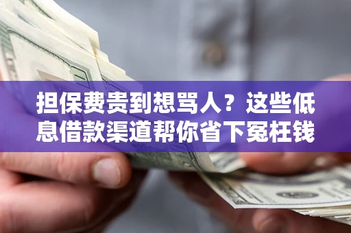 济南担保费贵到想骂人？这些低息借款渠道帮你省下冤枉钱