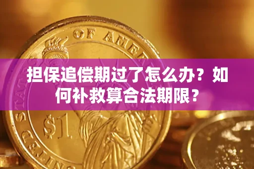 济南担保追偿期过了怎么办？如何补救算合法期限？