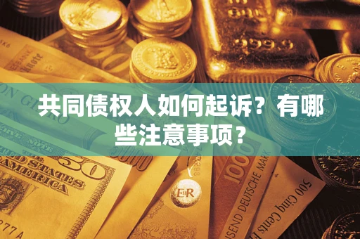 济南共同债权人如何起诉？有哪些注意事项？